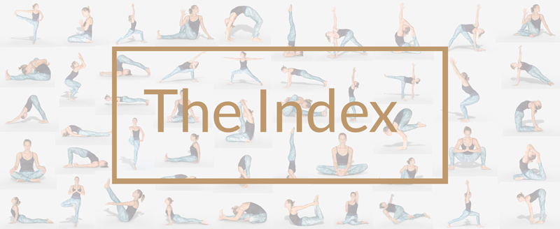 Amazon.com: QuickFit Yoga Position Exercise Poster - Yoga Asana Poses Chart  - Laminated, 18